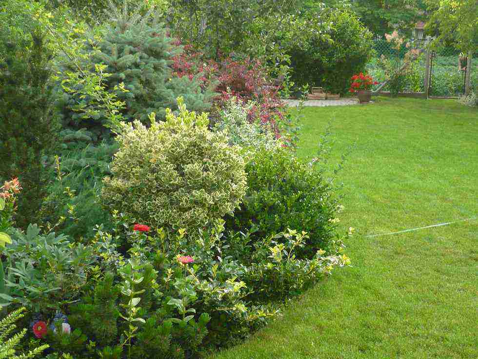 kert építés tervezés, gyepesítés, fűnyírás kert építés tervezés, gyepesítés, fűnyírás