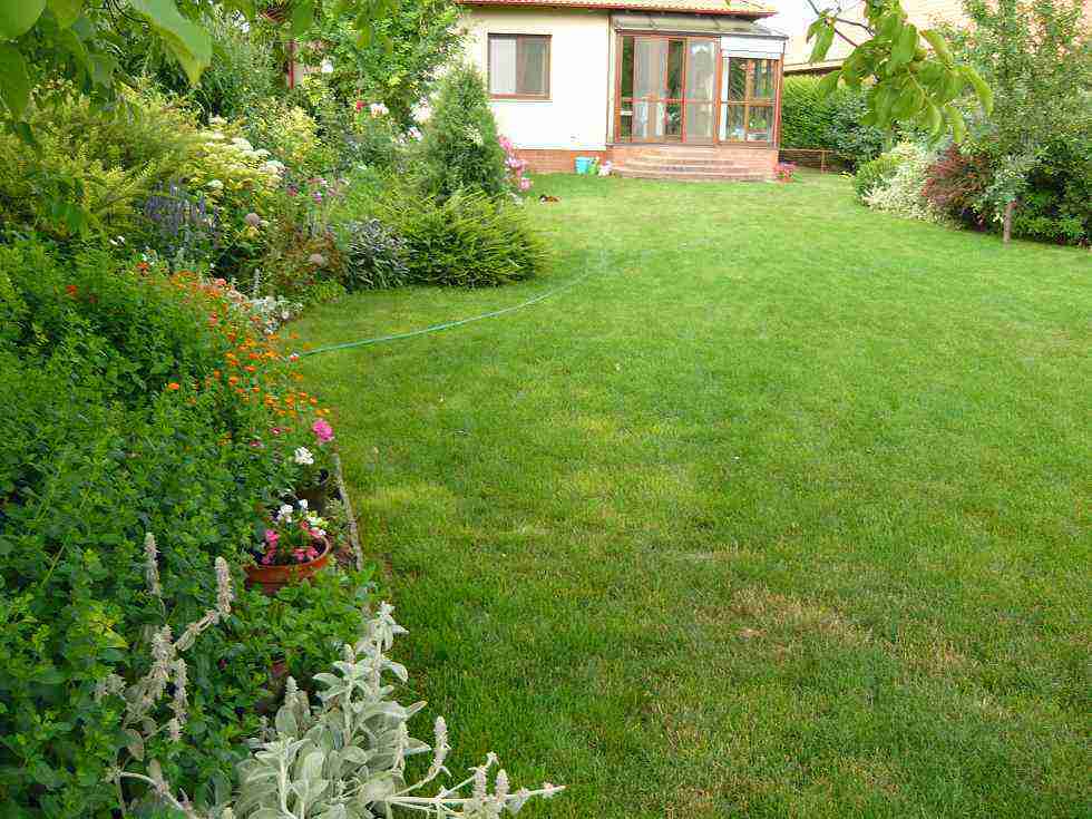 kert tervezés, kivitelezés, kertgondozás, füvesítés, fűnyírás, öntözőrendszer telepítés, kertgondozás, kert tervezés, füvesítés, fűnyírás, fakivágás, öntözőrendszer telepítés, kert tervezés, kivitelezés, kert tervezés, kivitelezés, kertgondozás, füvesítés, fűnyírás, öntözőrendszer telepítés,