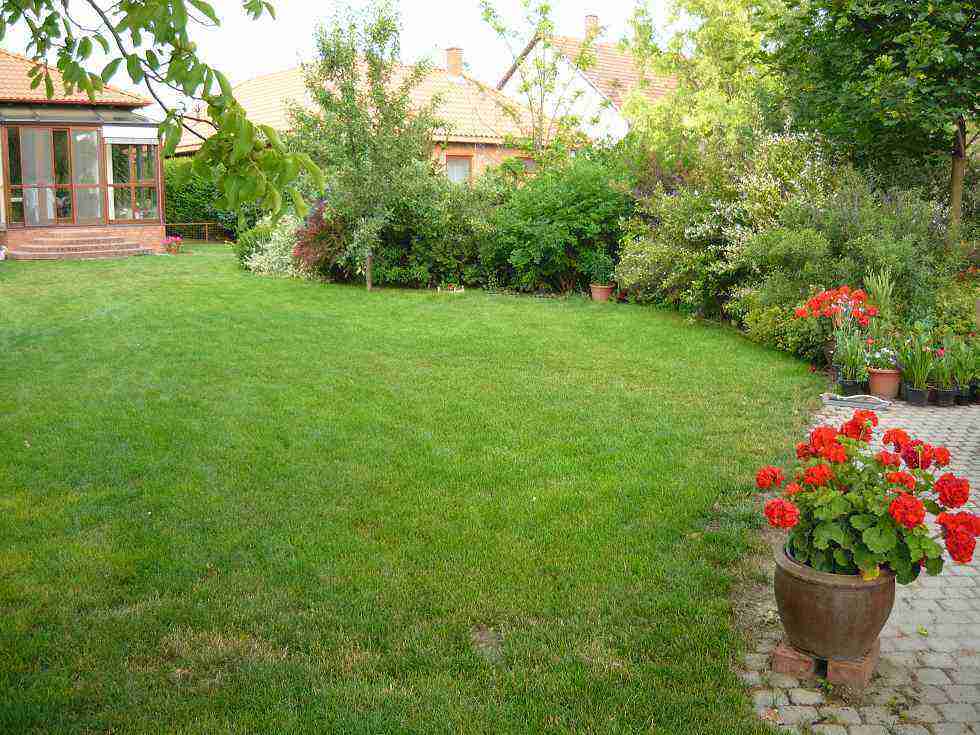 -kerttervezés -tereprendezés -kertépítés -öntözőrendszer tervezés, kivitelezés -füvesítés, gyepszőnyeg lerakás -növények beszerzése és ültetése kert tervezés, kivitelezés, kertgondozás, füvesítés, fűnyírás, öntözőrendszer telepítés, 20/473-66-25
<script language='JavaScript' type='text/javascript'>
<!--
var prefix = 'ma' + 'il' + 'to';
var path = 'hr' + 'ef' + '=';
var addy62406 = 'kert-epites' + '@';
addy62406 = addy62406 + 'kert-tervezes' + '.' + 'hu';
document.write( '<a ' + path + '\'' + prefix + ':' + addy62406 + '\'>' );
document.write( addy62406 );
document.write( '<\/a>' );
//-->\n </script> <script language='JavaScript' type='text/javascript'>
<!--
document.write( '<span style=\'display: none;\'>' );
//-->
</script>Ezt a címet a spamrobotok ellen védjük. Engedélyezze a Javascript használatát, hogy megtekinthesse.
<script language='JavaScript' type='text/javascript'>
<!--
document.write( '</' );
document.write( 'span>' );
//-->
</script>